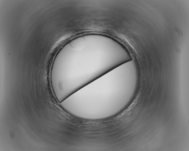 X0000111151307200906301029