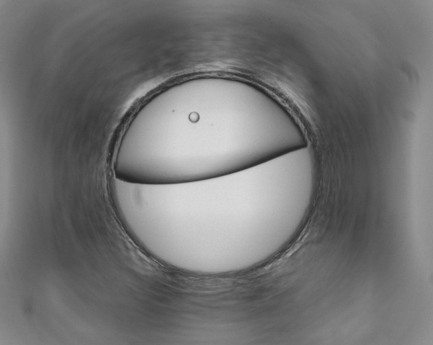 X0000111151308200906301029
