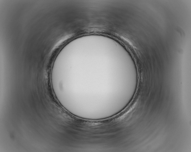 X0000111151309200906301029
