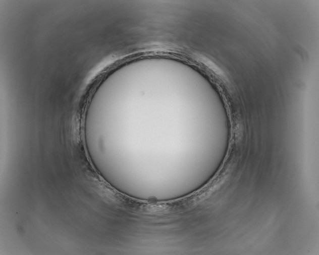 X0000111151310200906301029