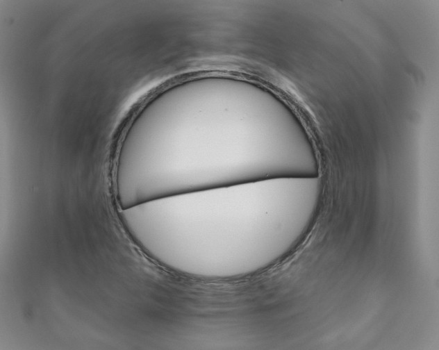 X0000111151312200906301029