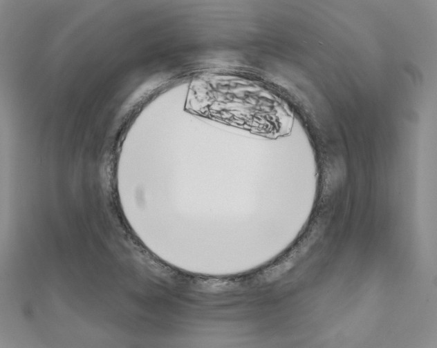 X0000111151314200906301029