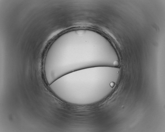 X0000111151315200906301029