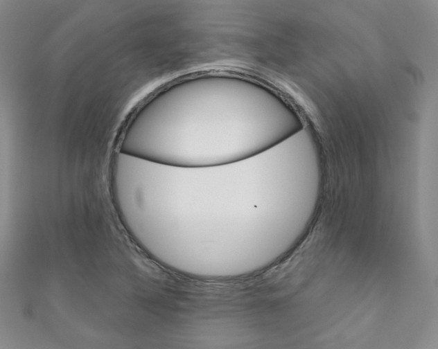 X0000111151316200906301029