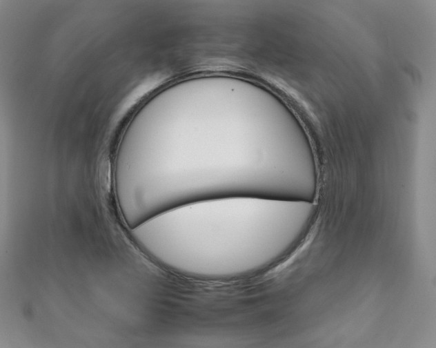 X0000111151317200906301029
