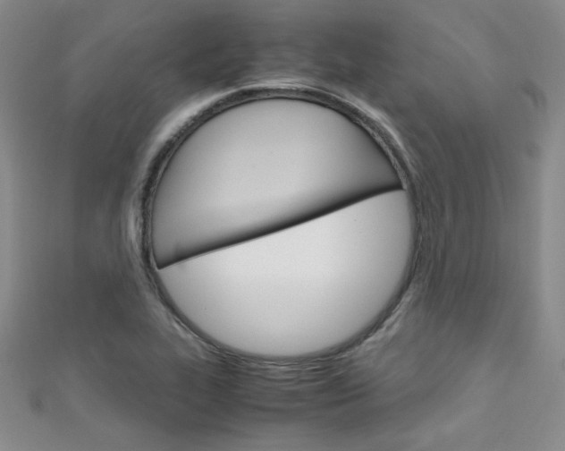 X0000111151319200906301029