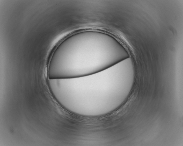 X0000111151320200906301029