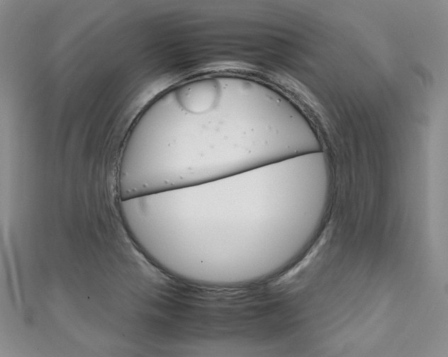 X0000111151321200906301029