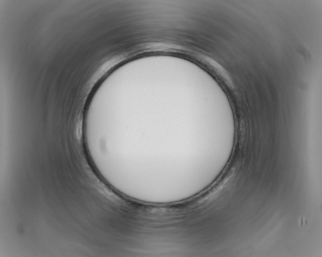 X0000111151322200906301029