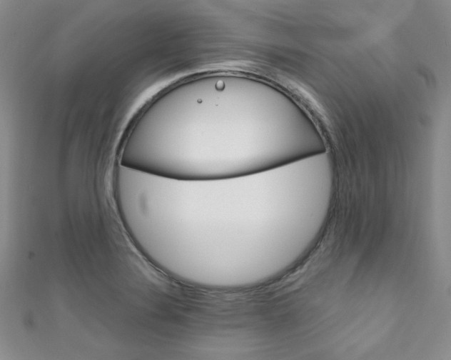X0000111151324200906301029