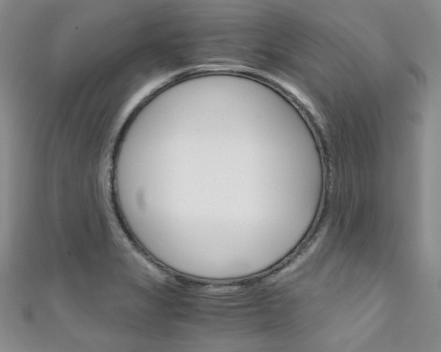 X0000111151325200906301029