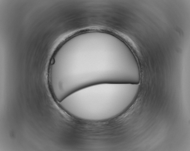 X0000111151327200906301029