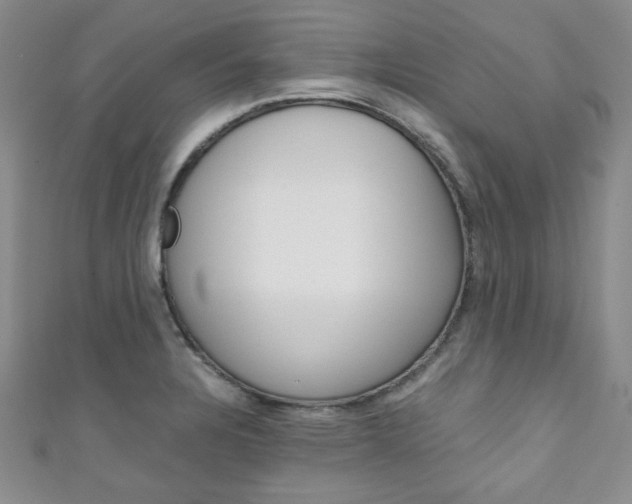 X0000111151328200906301029