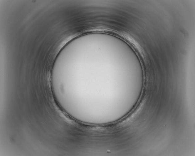 X0000111151329200906301029