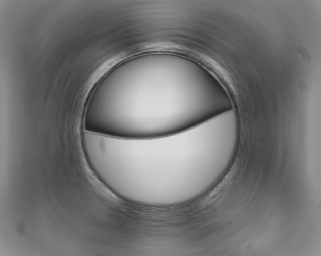 X0000111151330200906301029