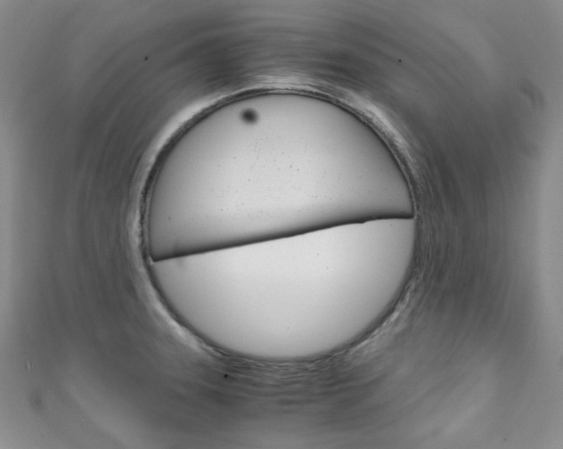 X0000111151331200906301029