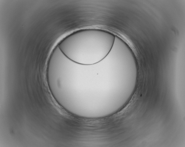X0000111151332200906301029