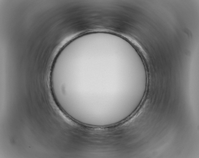 X0000111151333200906301030