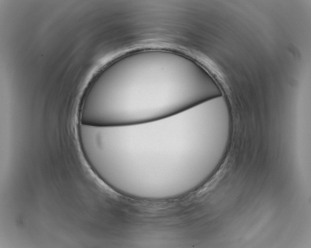 X0000111151334200906301030