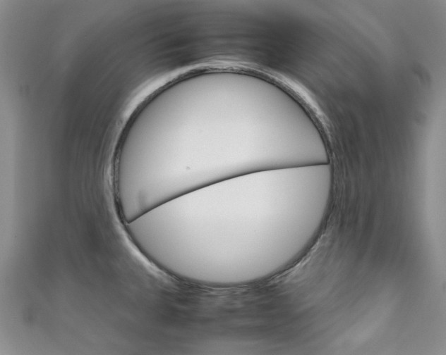X0000111151335200906301030