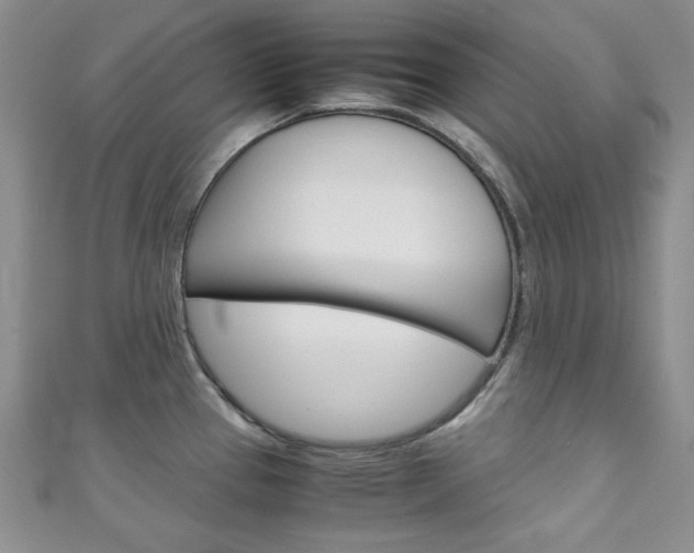 X0000111151337200906301030