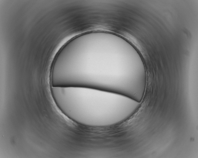 X0000111151339200906301030