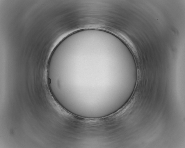 X0000111151340200906301030