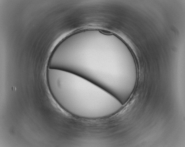 X0000111151341200906301030