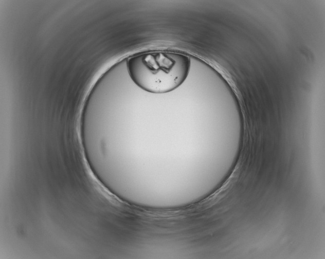 X0000111151342200906301030