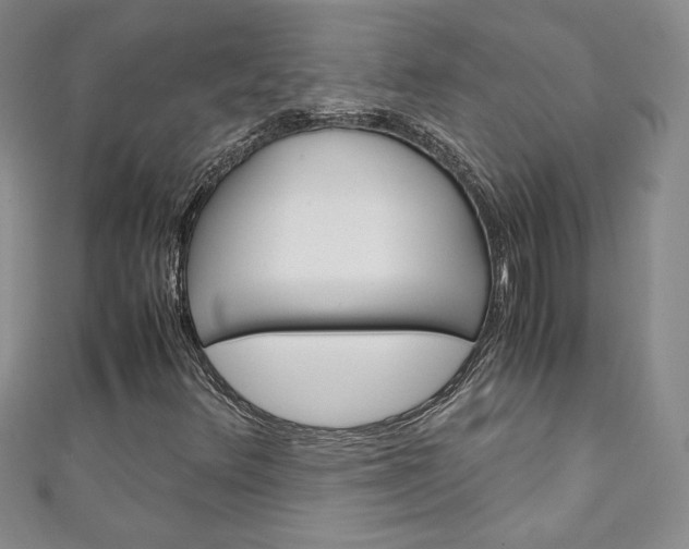X0000111151348200906301029