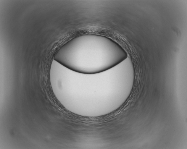 X0000111151349200906301029