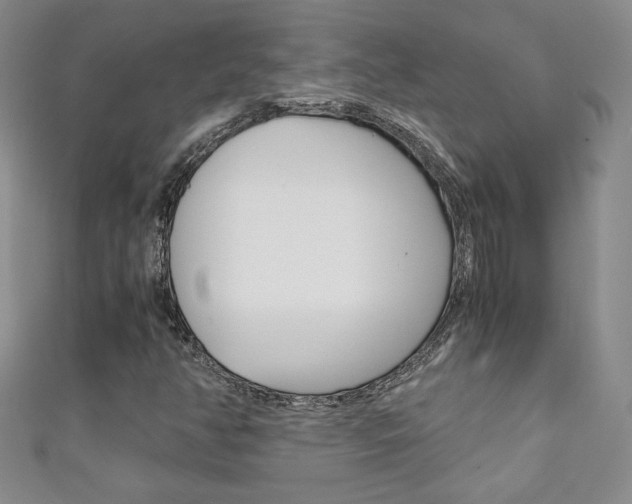 X0000111151350200906301029