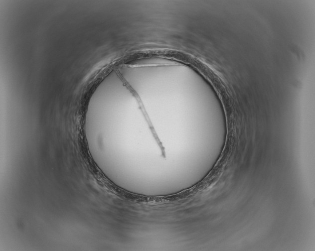X0000111151351200906301029