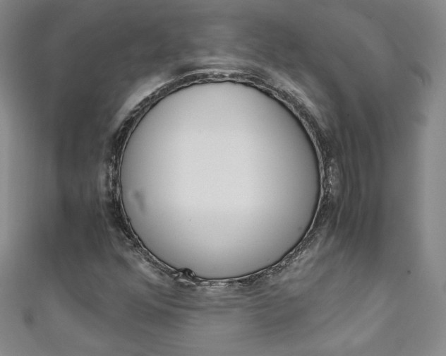 X0000111151352200906301029
