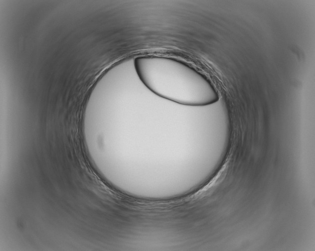 X0000111151353200906301029