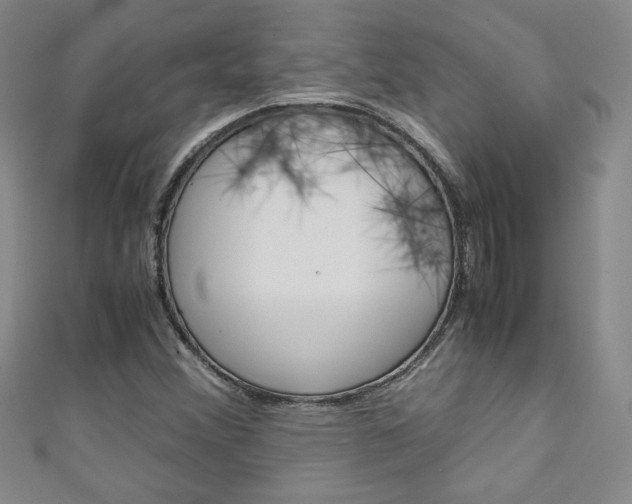 X0000111151356200906301029