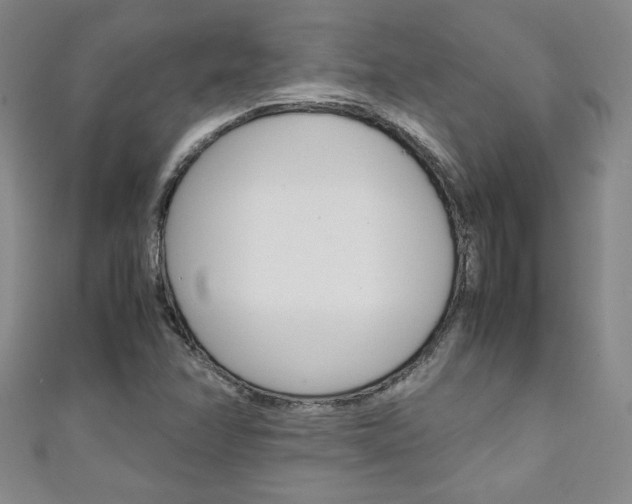 X0000111151358200906301029