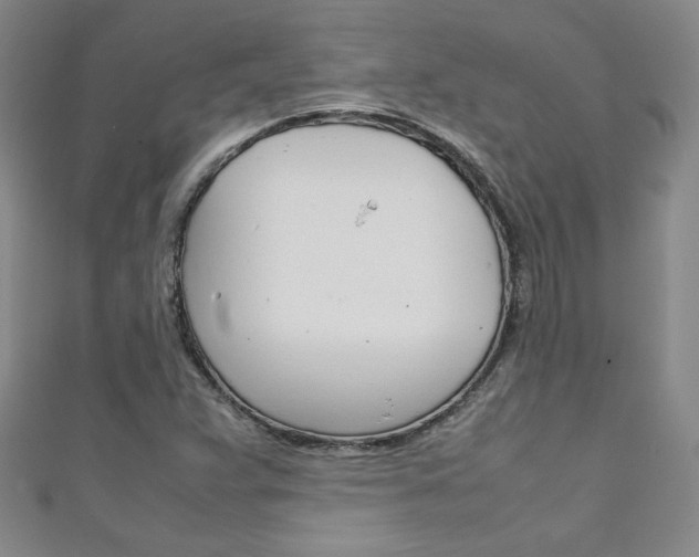 X0000111151359200906301029