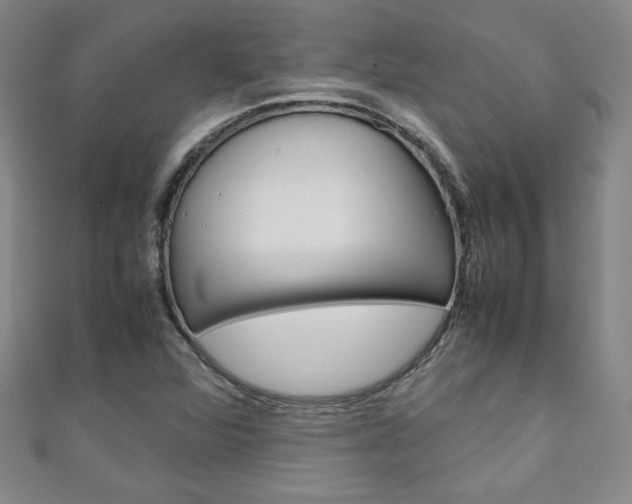 X0000111151360200906301029