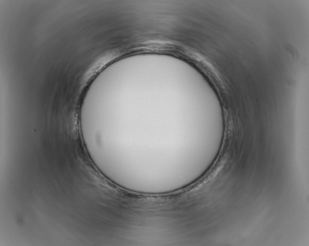 X0000111151362200906301029