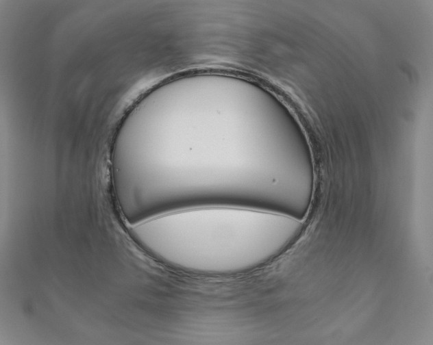 X0000111151363200906301029