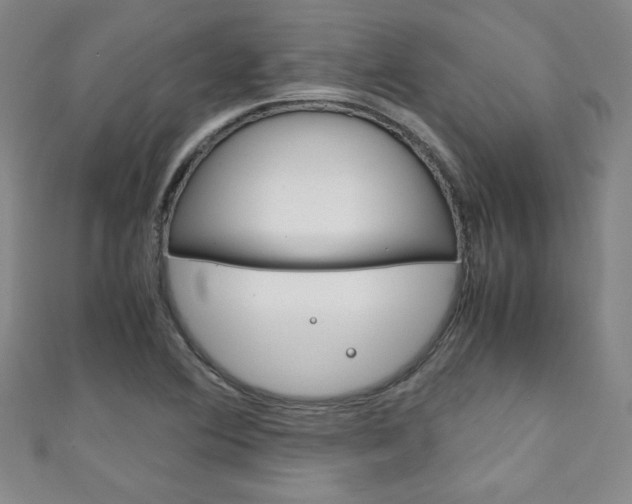 X0000111151364200906301029