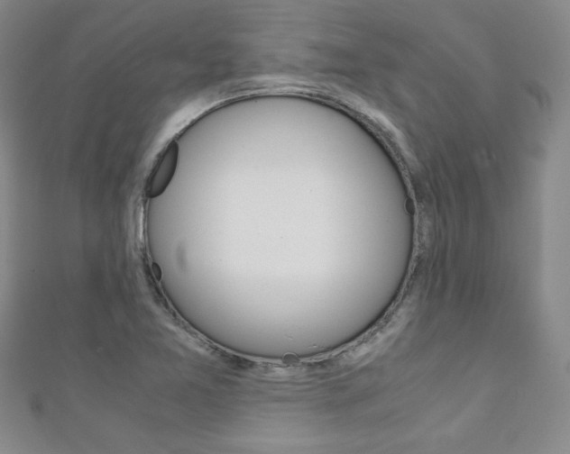 X0000111151365200906301029