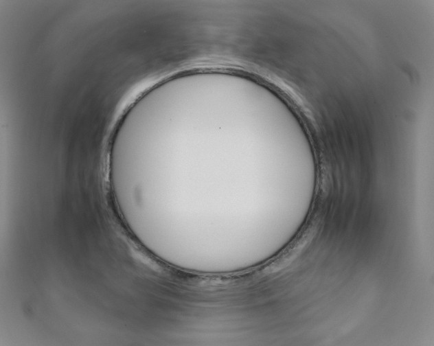 X0000111151366200906301029