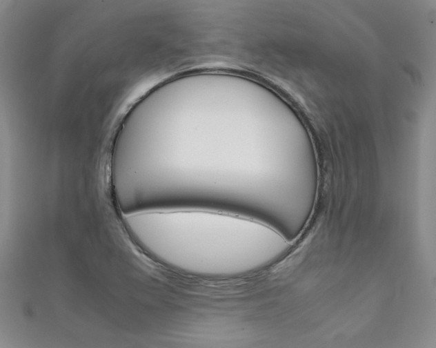 X0000111151367200906301029