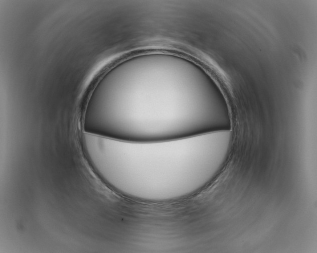 X0000111151368200906301029