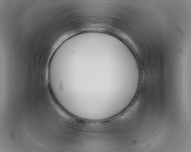 X0000111151370200906301029