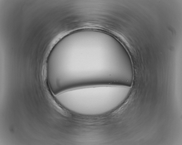 X0000111151371200906301029