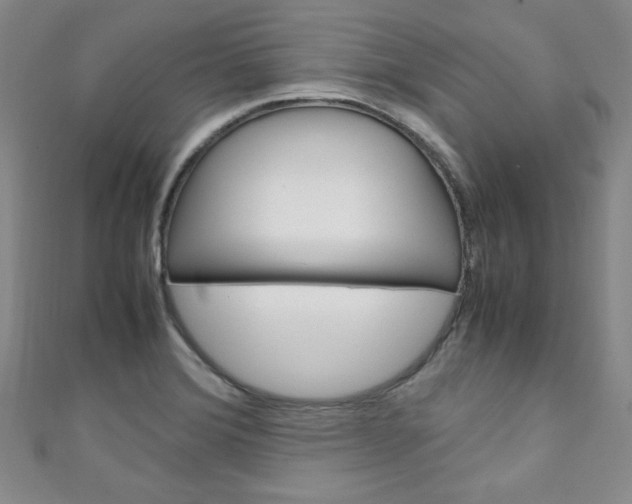 X0000111151372200906301029
