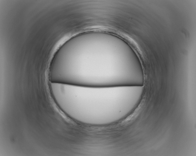 X0000111151373200906301029
